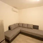 Apartment Aleks Center 2- Free Parking
